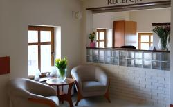 Apartamenty Pod Lwem