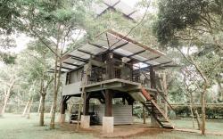 Treehouse Suite perfect for couples