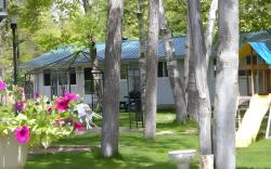 Birch Haven by the Beach