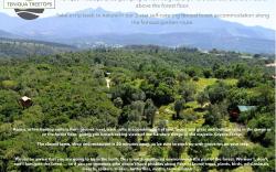 Teniqua Treetops