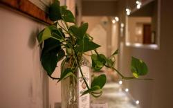 B&B InTrastevereHouse
