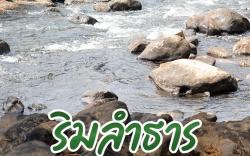 Hilly phitsano resort