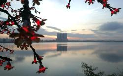Puchong WindyStayCation3R2B @ D Island