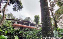 COORG HEAVEN PLANTATION STAY 