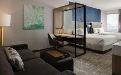 SpringHill Suites by Marriott Detroit Sterling Heights
