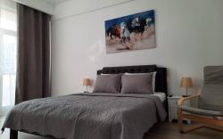 Luxury City Center Apartment – Garofita Romana#1