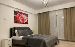 Luxury City Center Apartment –Amzei Romana#1