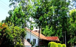 Yercaud Bungalow Stay