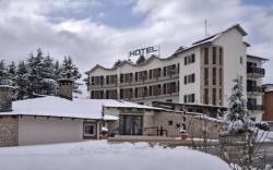 Hotel Pineta