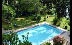 Ayurveda Spring of Life