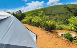 Tent Life