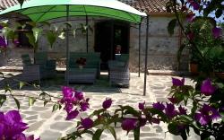 Societa Agricola MG Florplant