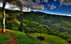 Hotel Mango Valley
