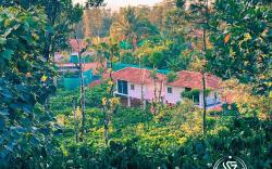 ViGo Homes