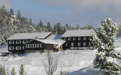 Hindsæter