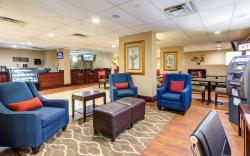 Comfort Inn St Petersburg North