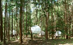 泊まれる公園 INN THE PARK
