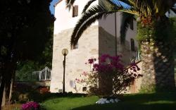 Madonna del Poggio B&B