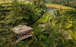 Nadi Nature Resort
