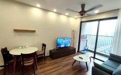 Linh homestay - Apartment 2bdr 3015 C2  D'Capitale