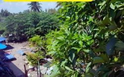 Homestay Malacca Kampung Style