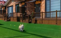 Gyeongju Helper Dog Pension