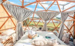 PhanDao 1000 Stars - Luxurious Glamping Villa