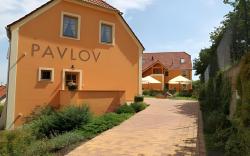 Hotel Pavlov