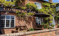Cowpers Oak 