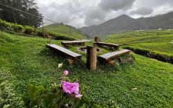 Tea Leaf Stays by Brown Tree Resort
