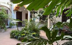 Patio de la Corredera