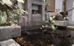 Hua Tang (HT-3R) Homestay