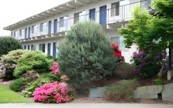 Cocusa Motel