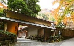 Oku-Yugawara Tsubaki