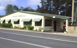 The Tree Motel