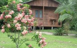 Cataratas Bijagua Lodge, incluye tour autoguiado Bijagua Waterfalls Hike