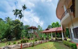 Misty Heights by The Sanihara