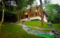 Green Garden Daisy Villa