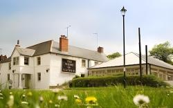 The Plume of Feathers