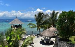 Dolphin House Resort Spa Diving