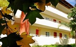 Aurea Hotel and Suites
