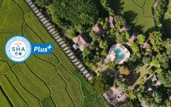 Pai My Guest Resort