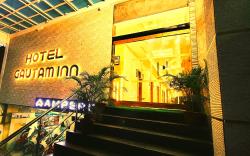 Hotel Gautam Inn