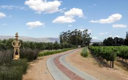 Saronsberg Vineyard Cottages
