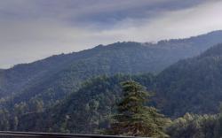 Summer Hill Resort