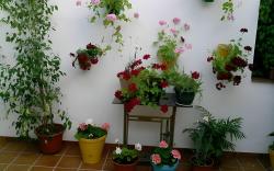 Apartamentos Las Palmeras
