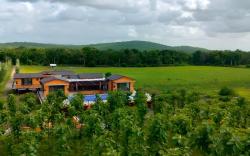 Whispering Woods Chalet