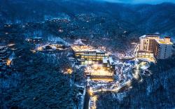 RESTREE and FOREST RESOM