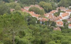 Origem