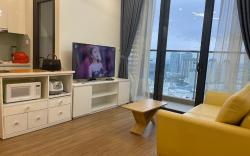 Vinhomes Skylake Serviced Apartment free swimming